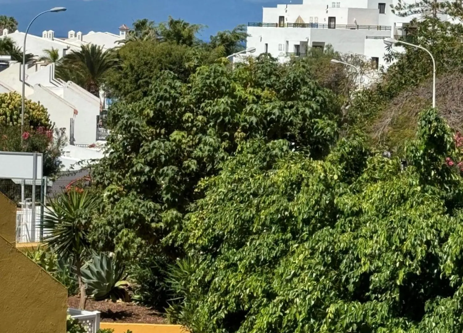 Orlando Luxury Costa Adeje Apartment  Costa Adeje (Tenerife)